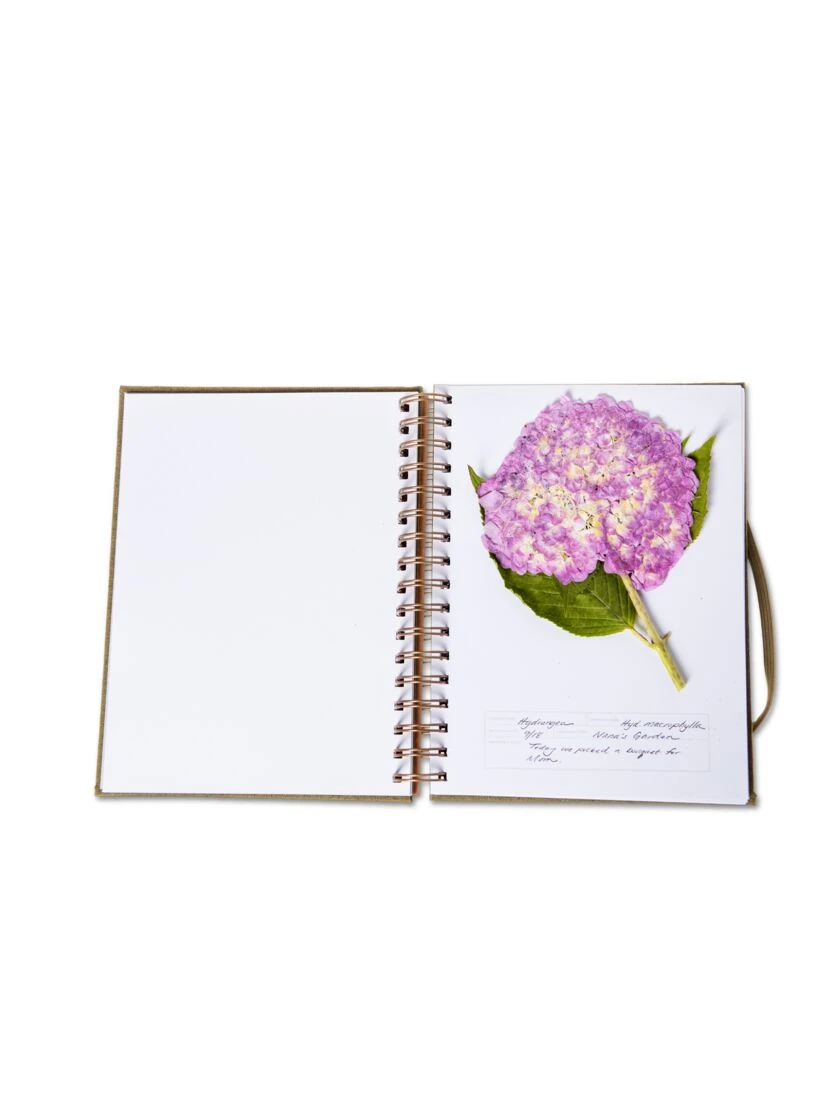 Herbarium Journal - Image 2