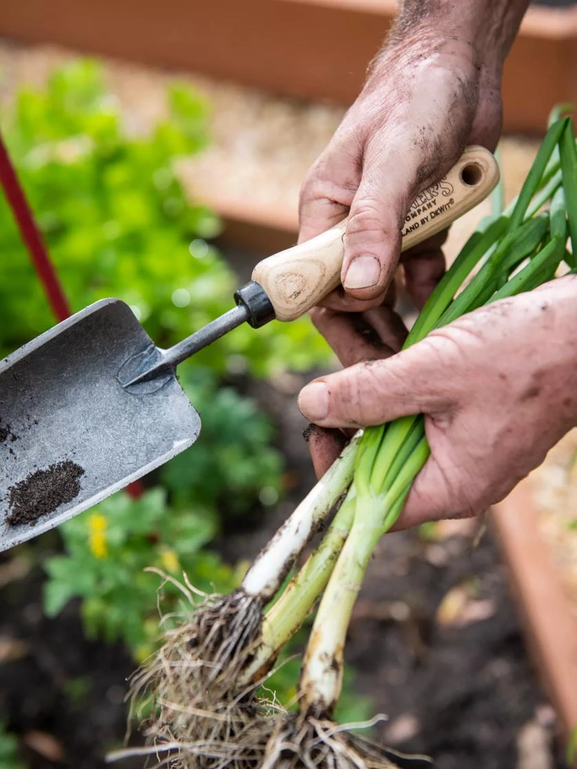 Gardener's Lifetime Trowel - Image 3