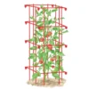 Tomato Cage, Single