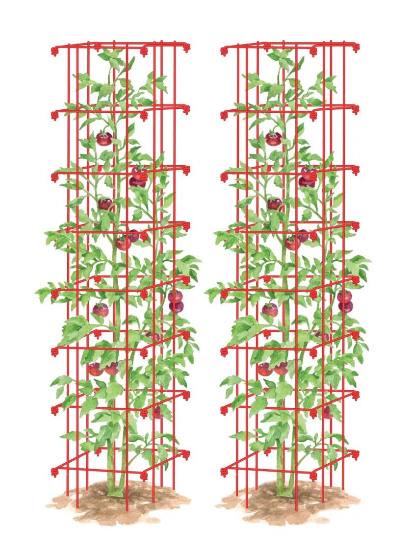 Tomato Towers, Set Of 2