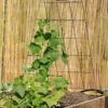 Wire A-Frame Trellis