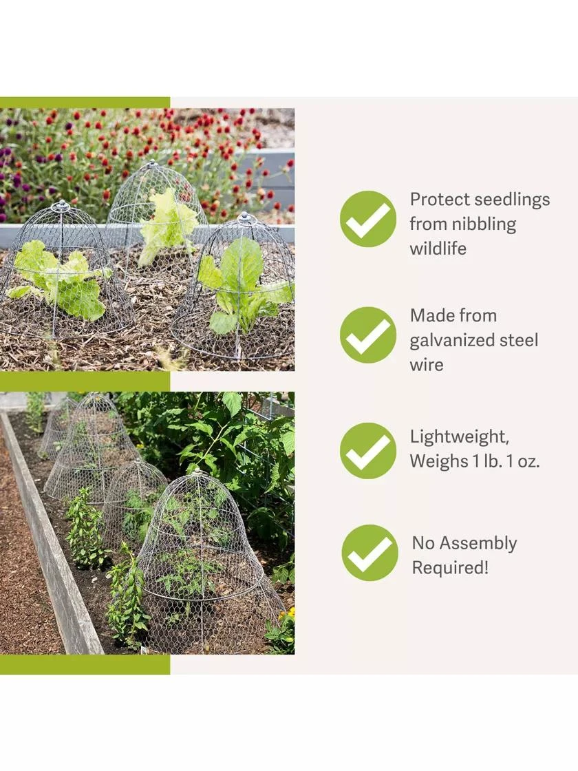 Chicken Wire Cloche - Image 2