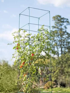 Mammoth Tomato Towers, Set Of 2