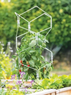 Gardener's Vertex Lifetime Pepper And Eggplant Cage