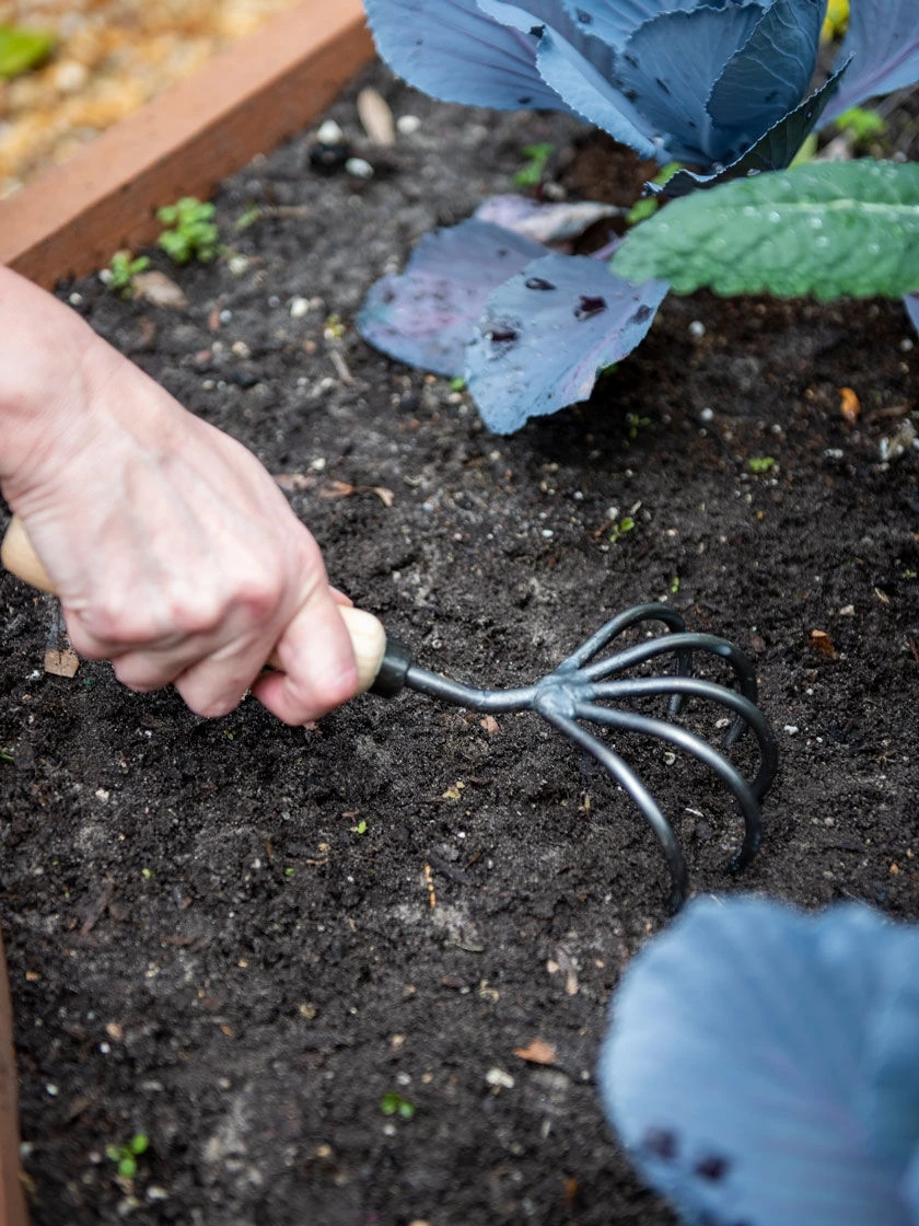 Gardener’s Lifetime 5-Tine Cultivator With Short Handle - Image 2