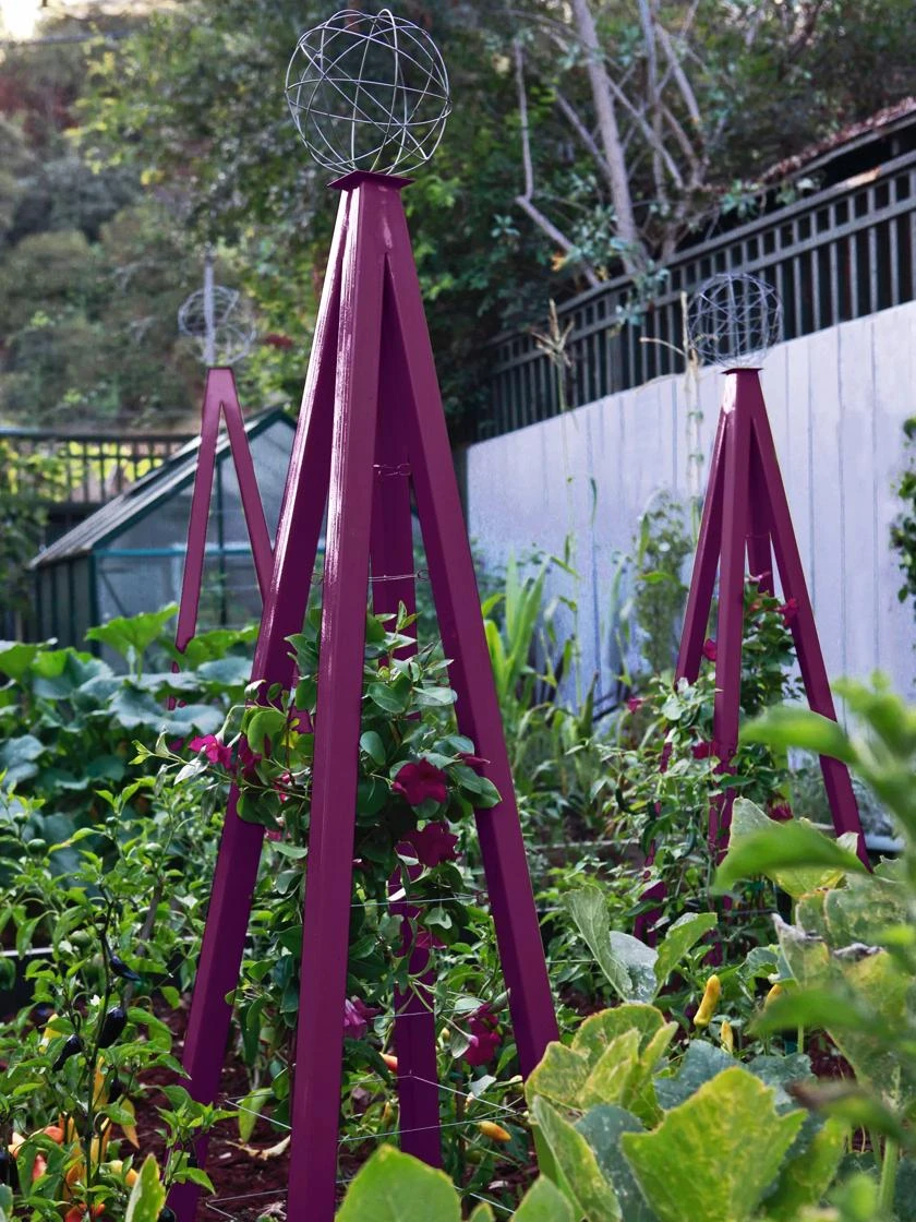 Akoris Garden Tuteur Jr. - Image 6