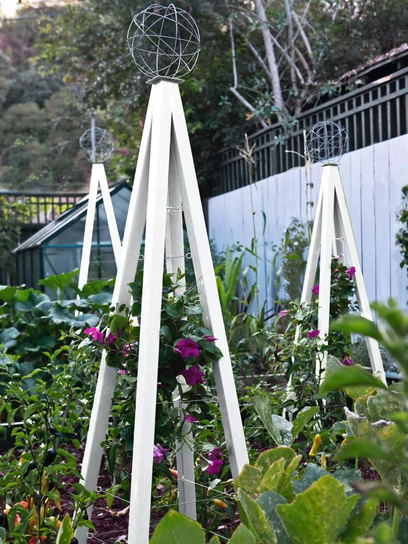 Akoris Garden Tuteur Jr. - Image 8