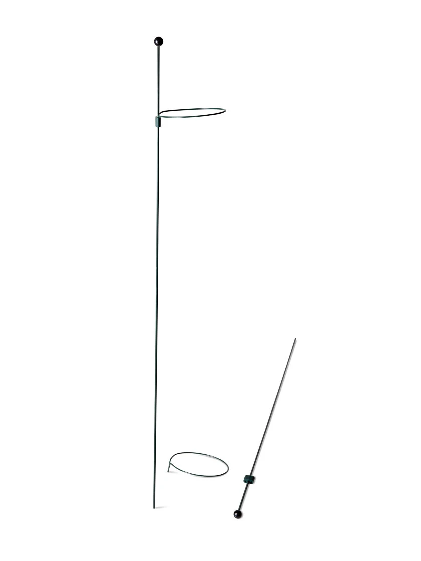 Peacock Mini Plant Support Rings 4", Set Of 2 - Image 5