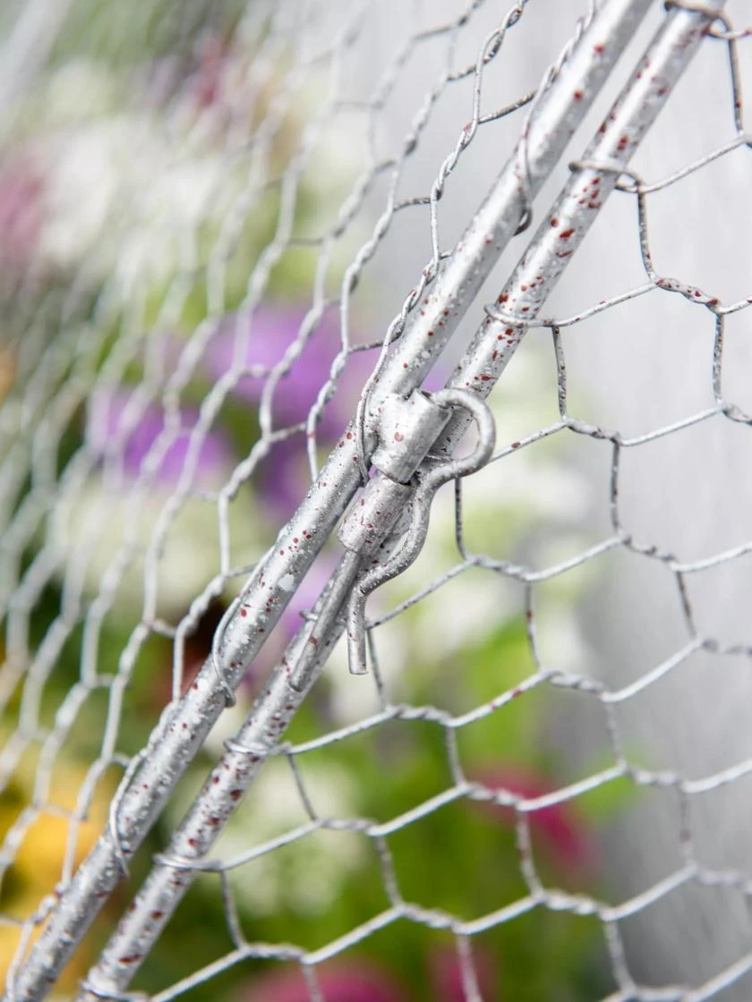 Chicken Wire Flat Back Crop Coop - Image 4