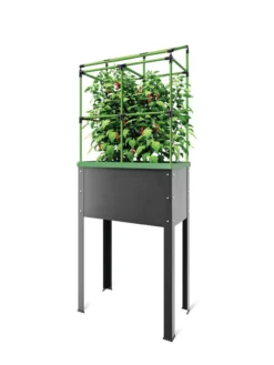 City Jungle® Heidelberg Tomato Trellis