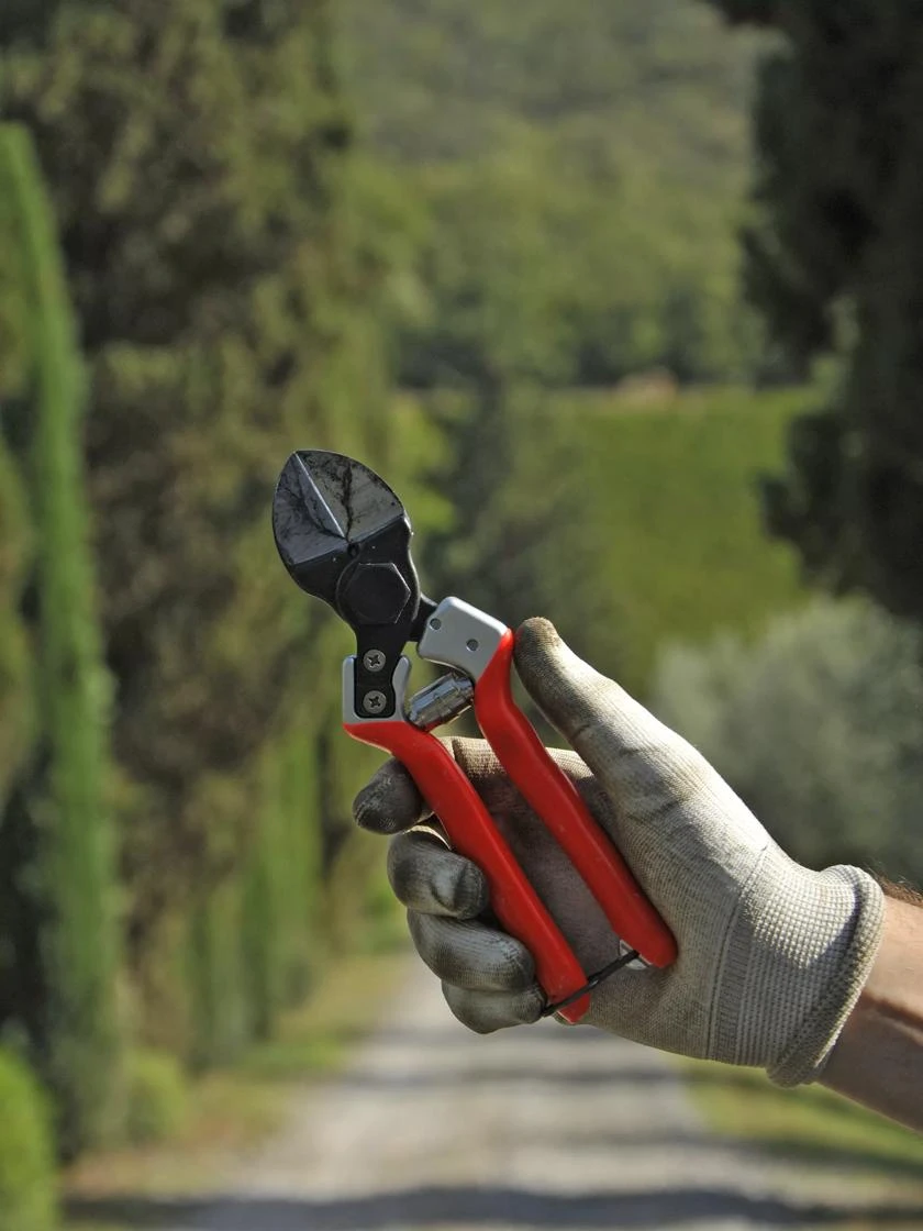 Castellari B12 Double-Blade Pruner - Image 4