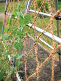 Coco Trellis Netting, 4' X 15'