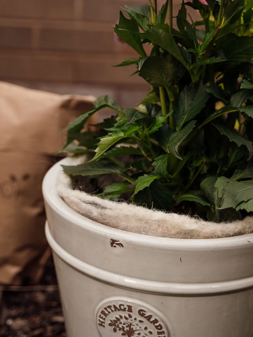 Hortiwool ®, 5 Pad Pack - Image 6