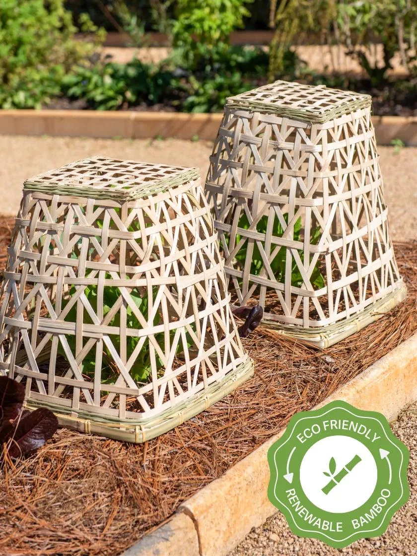 Bamboo Cloche, Set Of 2