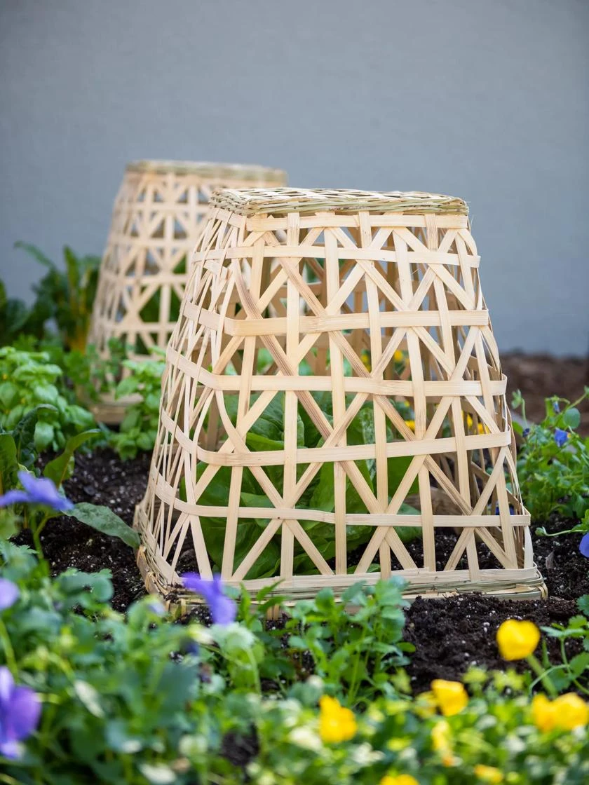 Bamboo Cloche, Set Of 2 - Image 2