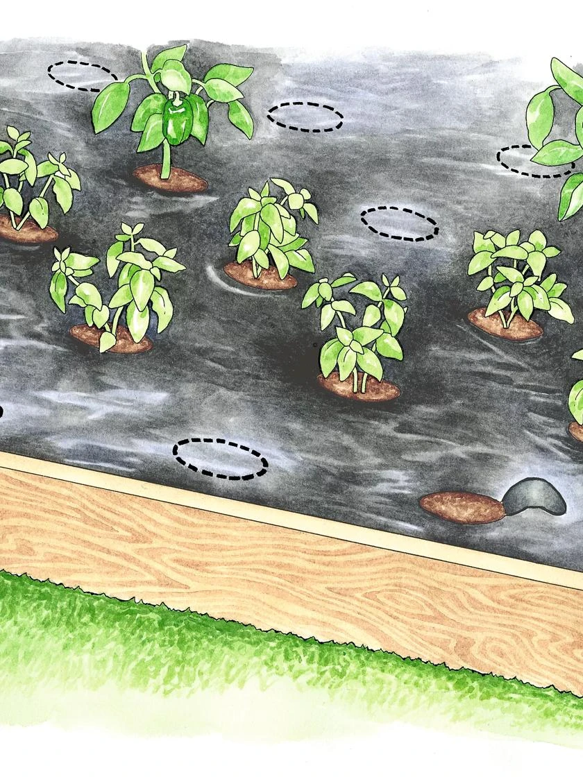 Easy-Plant Weed Block Mulch